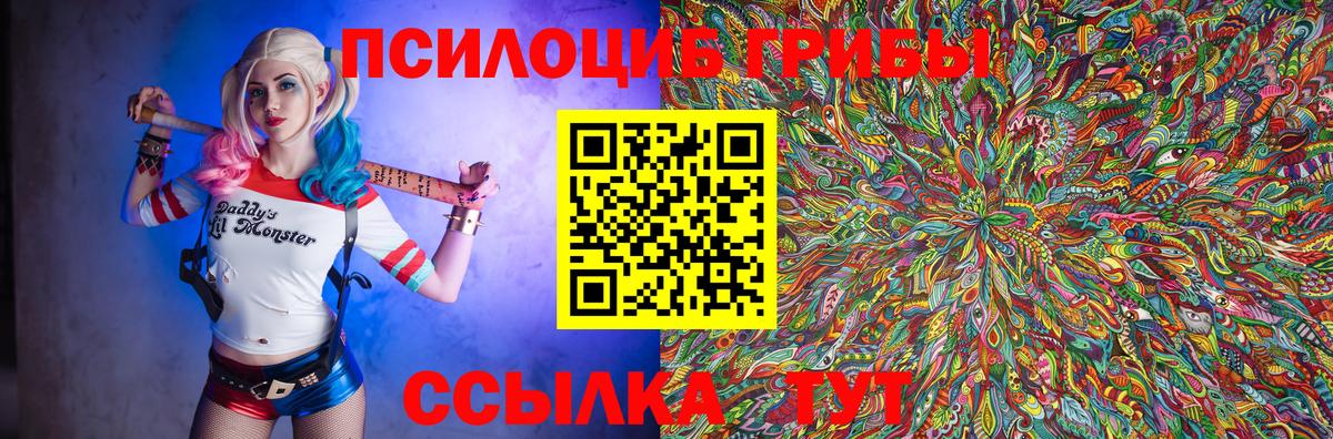 Псилоцибиновые грибы GOLDEN TEACHER Елизово