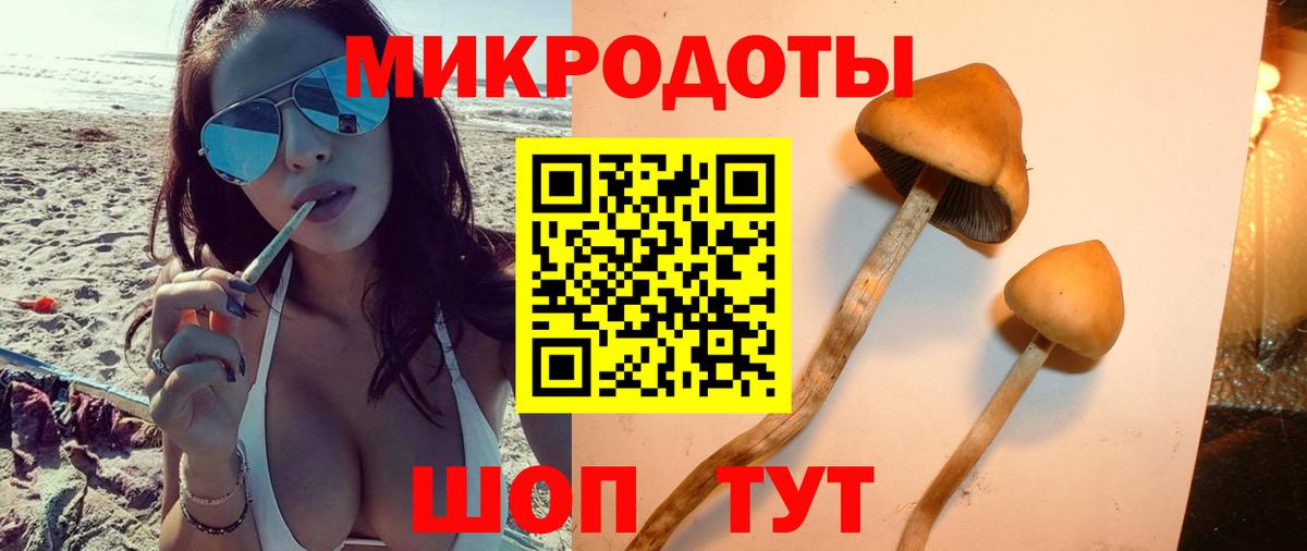Псилоцибиновые грибы Magic Shrooms  где купить наркотик  Елизово  Вход с VPN 